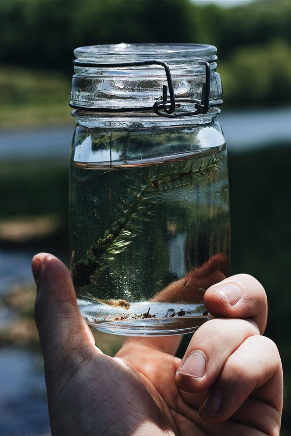Peut-on découvrir l'art du soufflage de verre en croisière à Venise?