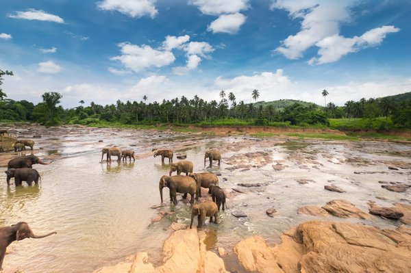 Quelles sont les caractéristiques des circuits au Sri Lanka ?